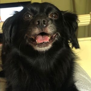 Meet your Posher, Jen